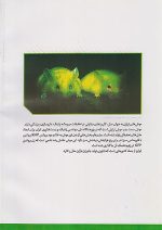 کتاب درسی زیست شناسی 3 دوازدهم مدرسه - Image 3